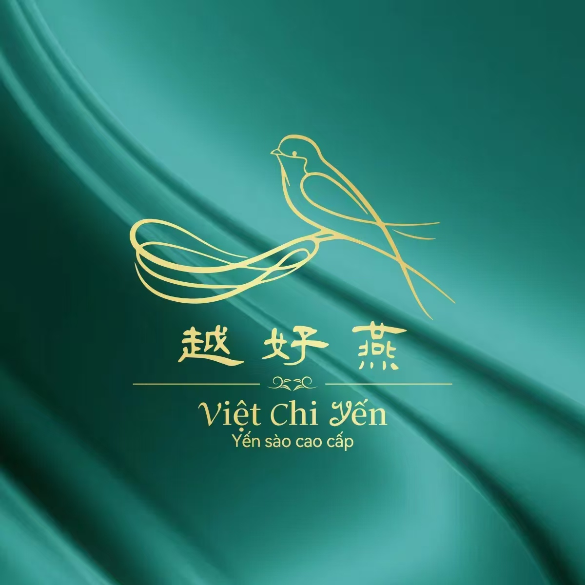 www.www.anmain.cn